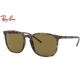 Ray Ban RB4387 Highstreet Sunglasses – Tortoise Frame / Brown Classic B-15 Lens