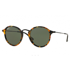 Ray Bans RB2447 Round Fleck sunglasses – Tortoise; Black Frame / Green Classic B-15 Lens